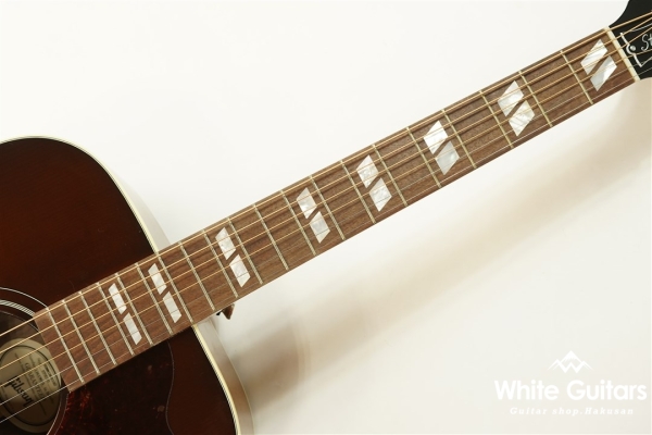 Hummingbird Studio - Walnat Burst